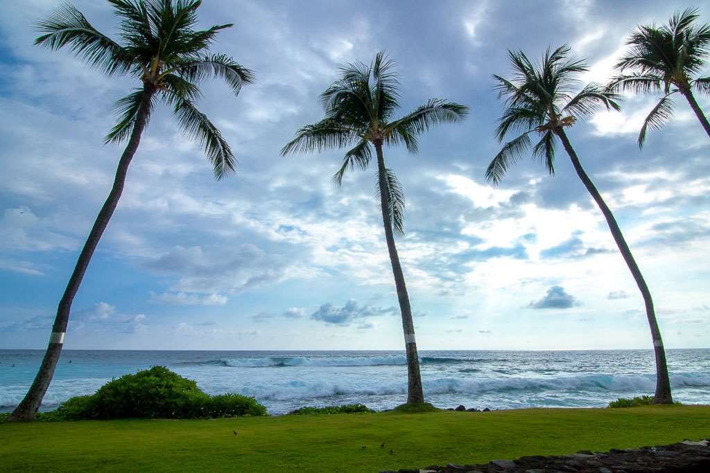 Kona Reef Hotel Кайлуа Кона Стая снимка